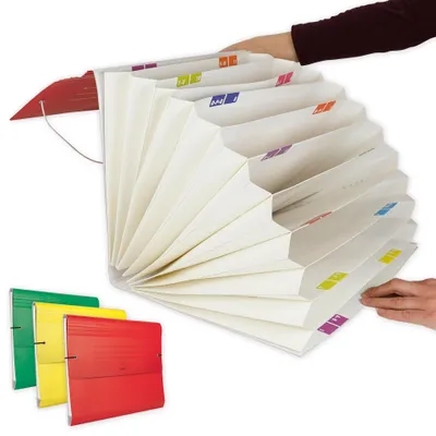 Produktbild von TimeTEX Fächermappe aus Pappe A4-Plus, farbig