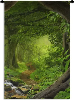 Produktbild von MuchoWow® Wandteppich Wandbehang Dschungel - Grün - Natur - Tropisch - Pflanzen 60x90 cm Tapisserie Dekoration Wandtuch - Foto-Teppich - Abwaschbar
