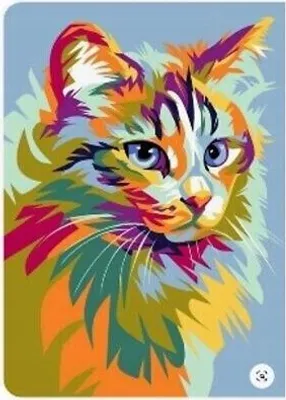 Produktbild von 50x40 cm Malen nach zahlen Set mit Holzrahmen Farbige Katze