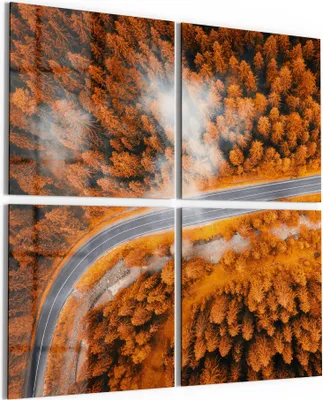 Produktbild von DEQORI Glasbild Echtglas 4x50x50 cm 'Herbstlicher Kiefernwald' Wandbilder XXL groß