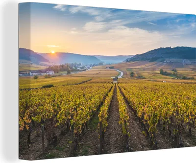 Obrázok produktu pre OneMillionCanvasses® - Výtlačky na plátne - 140x90 cm, Francúzsko - Vinice - Slnko, nástenná umelecká tlač nástenná dekorácia