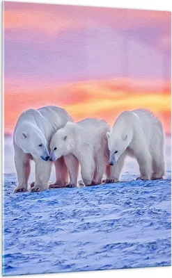 Produktbild von Bilder auf glas - Einteilig - Bären Winter Schnee Familie - 70x100cm - Glasbilder - Wandbilder - Bilder - Wanddekoration aus Glas - Glas Bilder - Wandbild auf Glas - GPA70x100-2836