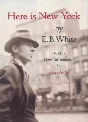 Immagine prodotto di Here is New York