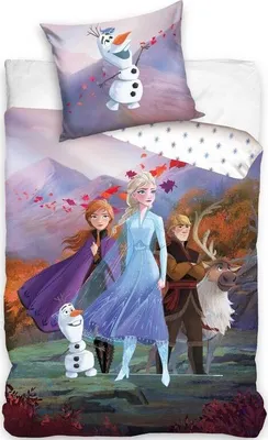 Produktbild von Frozen Team Bettwäsche 140 x 200 cm - Baumwolle - 60 x 70 cm - Baumwolle