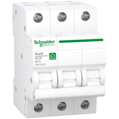 Immagine prodotto di Interruttore automatico Schneider Electric R9F23313