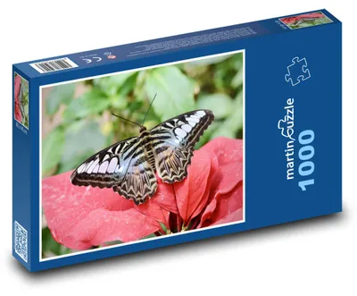 Obrázek produktu pro Puzzle 1000 Motýl na květině - martinpuzzle