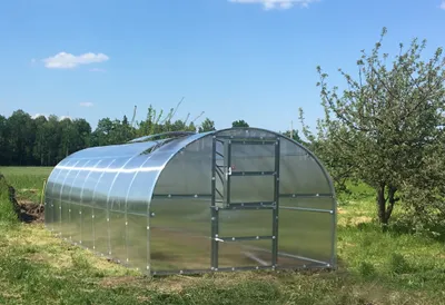 Produktbild von Gewächshaus BALTIC LT 3x8m (L x B) mit 4 mm polycarbonat.