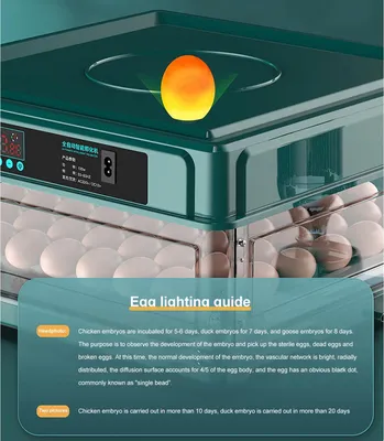 Produktbild von Eierbrüter, automatische Temperaturregelung, vielseitige Eierkapazität, 15 Stück