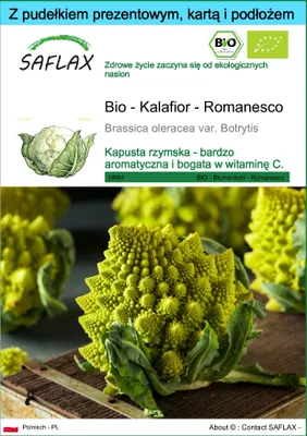 Zdjęcie produktu dla SAFLAX - Zestaw prezentowy - Bio - Kalafior - Romanesco - 50 Nasiona - Z pudełkiem upominkowym, etykietą wysyłkową, kartą podarunkową i podłożem uprawowym - Brassica oleracea var. Botrytis