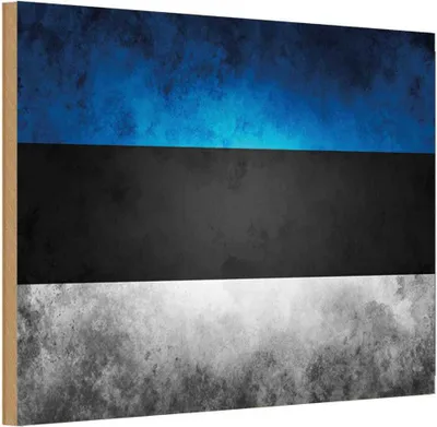 Produktbild von vianmo Holzschild 12x18 cm Estland Fahne Flagge Wappen