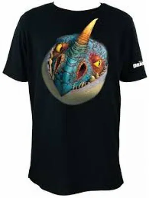 Produktbild von Dragons Sturmpfeil T-Shirt, Gr. 128-134