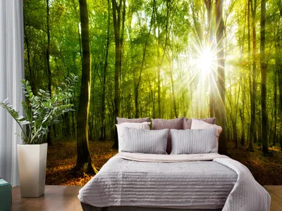 Produktbild von Vlies Fototapete Wald 400x280 cm Tapeten Wandtapete XXL Landschaft Natur Sonnenstrahl c-B-0663-a-a