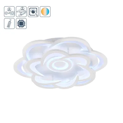 Productafbeelding van WOFI Plafondlamp Ica, 1 lichtpunt.