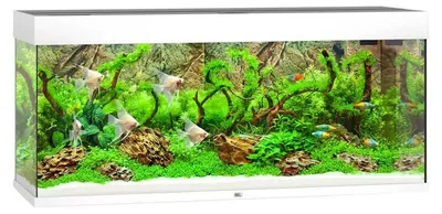Productafbeelding van Juwel Rio 240 LED | 240L | 121 x 41 x 51CM Wit