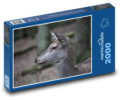 Obrázok produktu pre Puzzle 2000 Srnka v lese - martinpuzzle