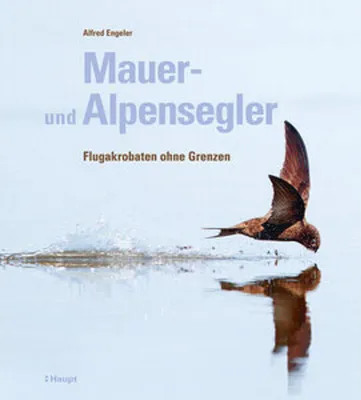 Immagine prodotto di Mauer- und Alpensegler