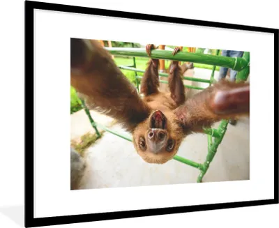 Produktbild von MuchoWow® Gerahmtes Poster Faultier - Lustig - Klettergerüst - Kinder - Jungen - Mädchen - Kinder 90x60 cm - Poster mit Schwarzem Bilderrahmen Wandposter Rahmen Foto Bilder - Wanddekoration - Fotos