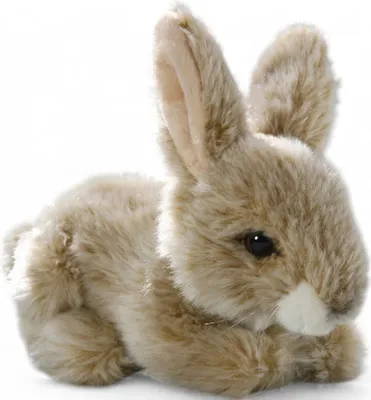 A plush toy rabbit is shown against a white background.