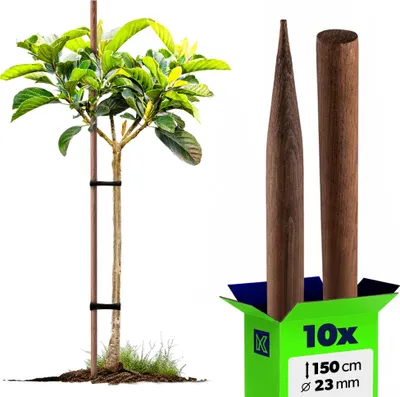 Produktbild von KADAX Holzstäbe 150 cm x 23 mm, 10er Set, Pflanzstäbe aus imprägniertem Holz, Holzpfähle als Rankhilfe für Pflanzen, Bäume, Tomaten & Sträucher, Tomatenstäbe (10 Stück, 150 cm)