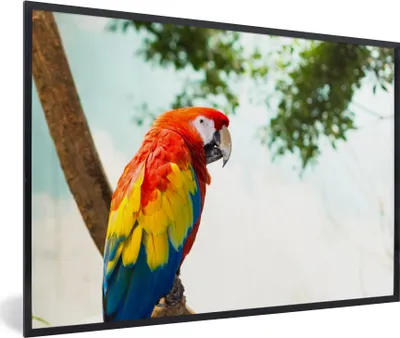 Produktbild von MuchoWow® Gerahmtes Poster Papagei - Vogel - Regenbogen - Tropisch 90x60 cm - Poster mit Schwarzem Bilderrahmen Wandposter Rahmen Foto Bilder - Fotorahmen - Foto-Plakat