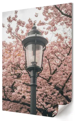 Produktbild von Frühlingslaterne- Kunstdruck A2 (42x59 cm) - Klassisch, romantisch- Wandbild für Wohnzimmer Schlafzimmer & Flur, Modernes Poster Wanddeko, Ungerahmt
