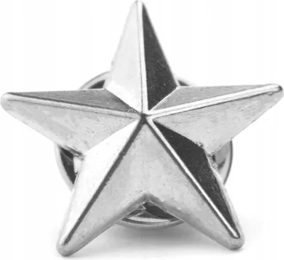 Produktbild von PINETS Stern-Dekoration, silberner Stern-Anstecker