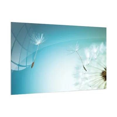 Obrázek produktu pro Skleněná magnetická tabule- dekorativní obraz  PAMPELIŠKA 90x60 cm