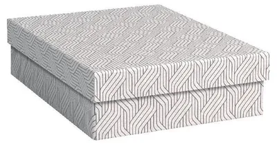 Obrázek produktu pro VON LEITZ 61560001 VON LEITZ Archivboxen weiß 26,5 x 36,5 x 10,0 cm, 3 St.