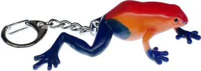 Produktbild von Frosch Schlüsselanhänger Miniblings Anhänger Pfeilgiftfrosch Erdbeerfröschchen Blau