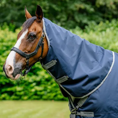 Image de Horseware Amigo Bravo 12 XL Hood 0g - Taille L - Bleu
