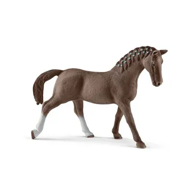 Immagine prodotto di Animale domestico - Cavalla Trakehner