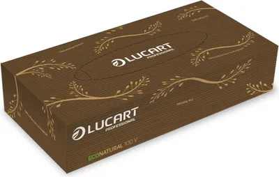 Obrázok produktu pre LUCART Odličovacie obrúsky "Eco Natural", hnedá, 2-vrstvové, 100 ks