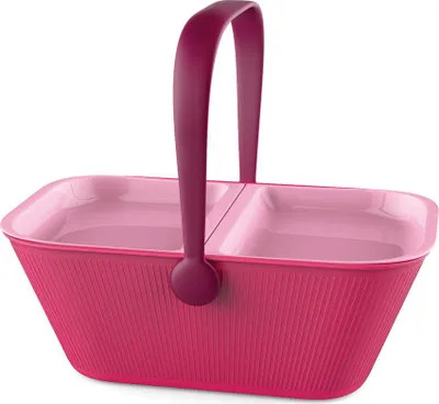 Zdjęcie produktu dla Alessi Petnic,Travel Organizer Pets (Art.-Nr. AMMI27 PO, EAN 8003299368884)