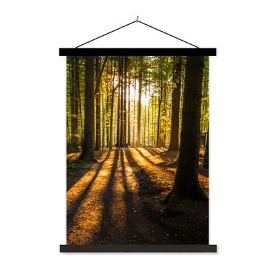 Produktbild von MuchoWow® Textilposter Sonne - Bäume - Wald - Landschaft - Natur 60x80 cm mit schwarzem Rahmen - Plakathalter