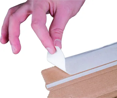 Produktbild von 100 x Versandverpackungen Buchverpackungen Selbstklebeverschluss 217x155x54mm A5