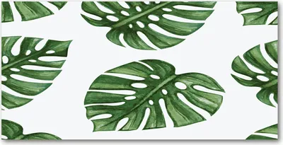 Produktbild von Tulup Glas-Bild -140x70- Wandkunst Dekorative Wand für Küche & Wohnzimmer - Blumen & Pflanzen - Monstera - Grün