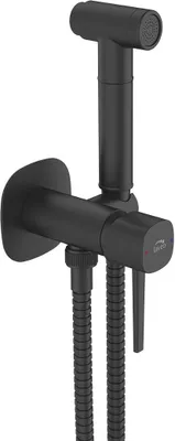 A black bidet faucet with a showerhead and hose, mounted on a wall.