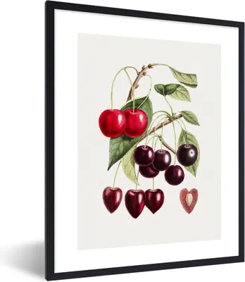 Produktbild von MuchoWow® Gerahmtes Poster Kirschen - Obst - Zweig 60x80 cm - Poster mit Schwarzem Bilderrahmen Wandposter Rahmen Foto Bilder - Premium - Wanddeko Wohnzimmer