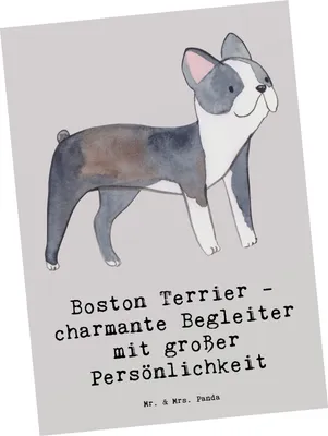 Produktbild von Mr. & Mrs. Panda Postkarte Boston Terrier Begleiter - Grau Pastell - Geschenk, Postkarten, liebenswerte Vierbeiner, Hunderasse, Ansichtskarte, Hundeliebhaber, Fotokarte