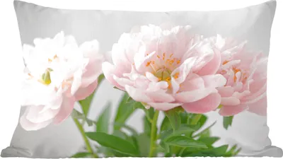 Produktbild von MuchoWow® Zierkissen Sofakissen Wohnzimmer Dekokissen 50x30 cm Blumenstrauß aus rosa Pfingstrosen - Wohnzimmerdekoration - Polster mit Photo