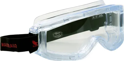 Produktbild von Eagle Gutrsg Schutzbrille Schwarz  Schwarz One Size