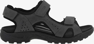 Produktbild von Ecco Onroads Sandal Offroad Herren Sandalen Pantoletten Leder 690024-51252