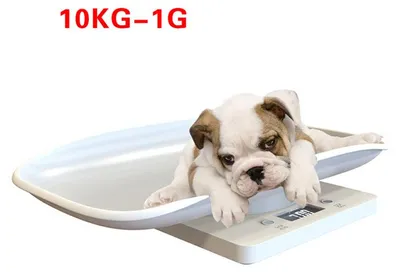 Produktbild von Digitale Babywaage, Tierwaage für Babys oder Tiere bis 10 kg, weißes Modell