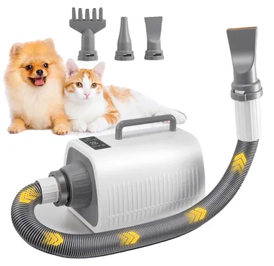 Image de Sèche-cheveux pour animaux de compagnie, haute puissance 2100W, fonctionnement silencieux, couleur noire