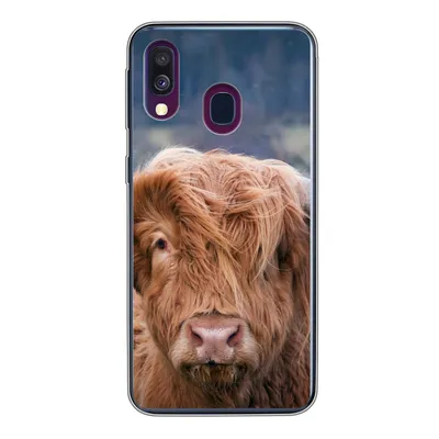Produktbild von MuchoWow® Handyhülle Schutzhülle Hülle für Samsung Galaxy A40 Schottischer Highlander - Hörner - Berg Silikon Softcase Handy Hülle - Handy-Tasche