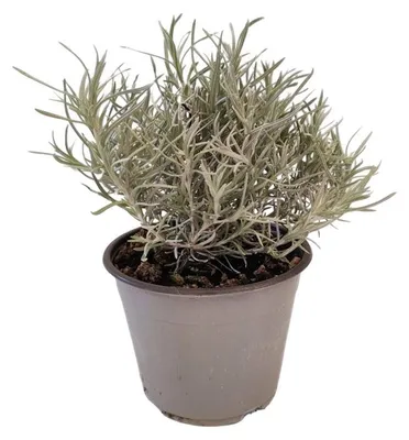 Produktbild von Warentuin Producten