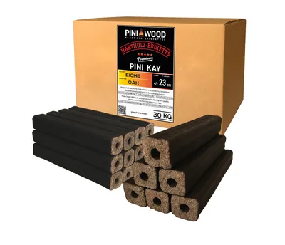 A cardboard box of wood briquettes with several briquettes stacked in front of it.