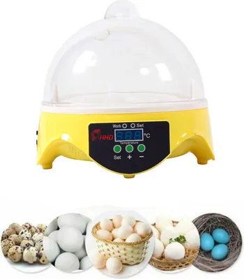 Image de 7 œufs Incubateur Régulation de température Couveuses automatiques pour poules Canards Oies Oiseaux Cailles Turquie