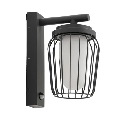 A black outdoor wall light with a wire cage and a white frosted glass bulb, mounted on a white background.