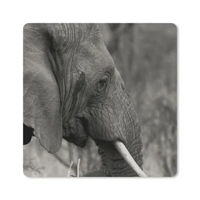 Produktbild von MuchoWow® Mauspad Mousepad Elefant - Tiere - Schwarz - Weiß 20x20 cm - Mousepads - Maus Mat - Pad - Mausunterlage - Desk Mat - Bureauartikeln